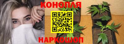 прущие крисы Сланцы