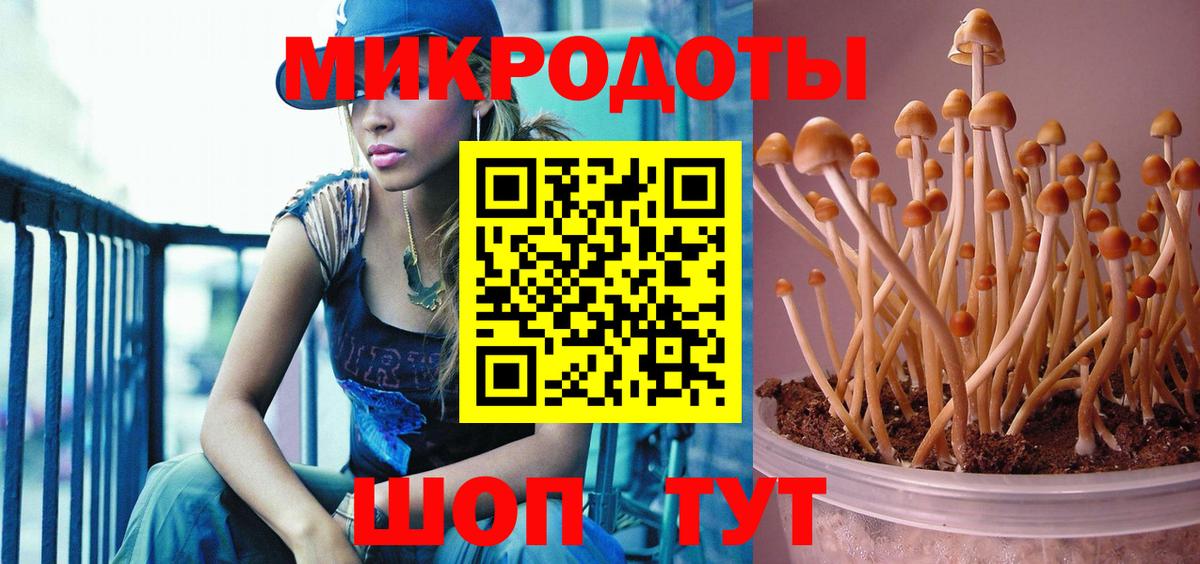 Псилоцибиновые грибы MAGIC MUSHROOMS  Псилоцибиновые грибы Psilocybine cubensis  где купить наркотик  Острогожск  Вход с VPN 